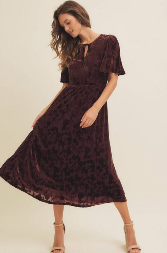 Floral Velvet Burnout Midi Dress