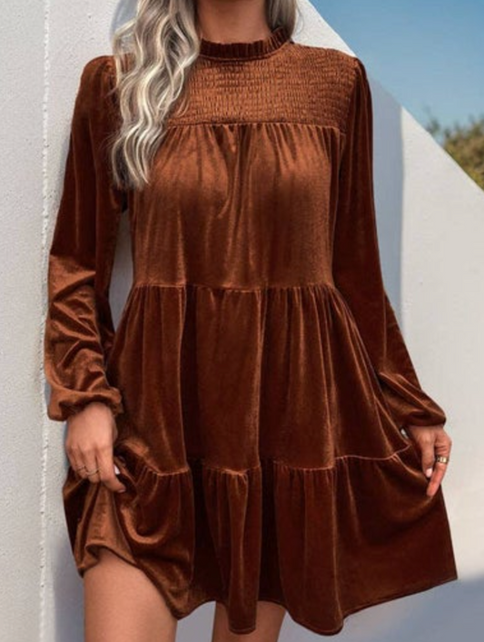 Long Sleeve Elegant Velvet Dress